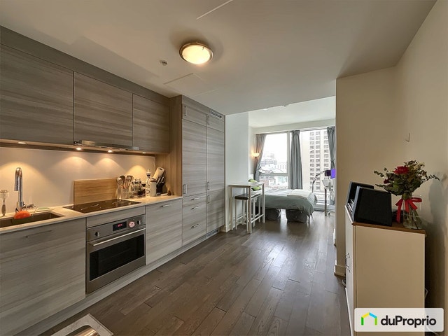 $333,333 - Condominium in Ville-Marie (downtown, old Mtl) — photo 2