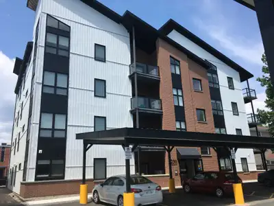 230 Regent Street - $2,175 - Available NOW! 2 Bedroom - 2 Bathroom New Executive Building in Downtow...