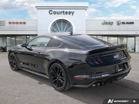 Feel the undeniable thrill of pure American muscle with this stunning 2022 Ford Mustang GT Premium!... (image 3)