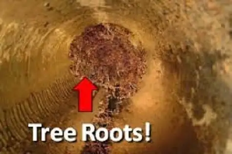 Save Now! Sewer and Drain Cleaning With Free Warranty62866659645315124