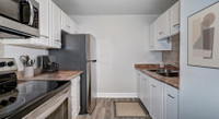 The Wynbrook and the Mayfair are well-maintained, low-rise rental residences located in a quiet neig... (image 5)