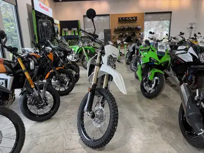 Engine Type: Single-Cylinder Displacement: 17.8 cu. in. (292 cc) Bore and Stroke: Bore: 3.07 in. (78...
