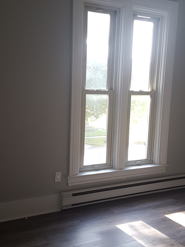 Cute as a button ~ 1 bedroom upper suite ~ $1195 in Long Term Rentals in Sarnia - Image 3