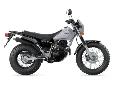 2026 yamaha TW200 Yamaha TW200 2026 NOUVEAUTÉ EN INVENTAIRE 2026 Yamaha TW200 (Gallant Grey) Découvr...