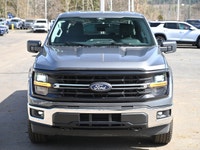 2025 Ford F-150 Crew Cab XLT | 3.5L EcoBoost | 30,335 km | The Ultimate Half-Ton Unmatched capabilit... (image 5)