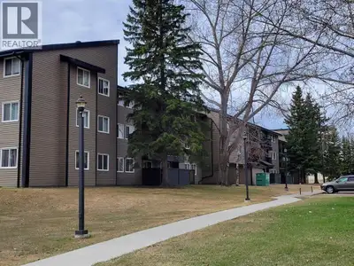 A fantastic investment opportunity awaits! This 2-bedroom unit is on the 3rd floor of Mountain Vista...