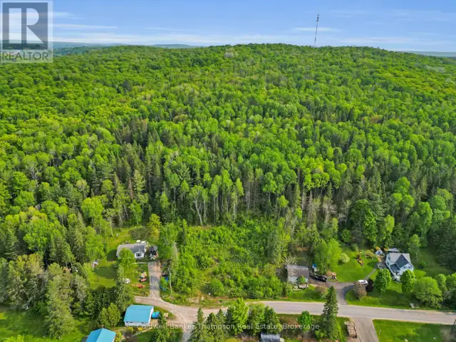 219 DOE LAKE ROAD Armour, Ontario in Land for Sale in Muskoka - Image 9