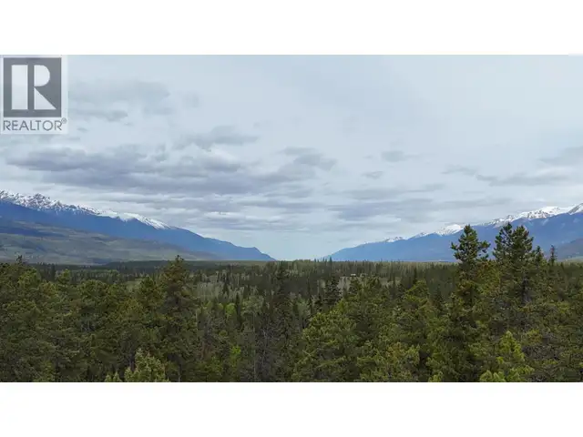 LOT A 3840 BRYAN ROAD Valemount, British Columbia in Land for Sale in Quesnel - Image 5