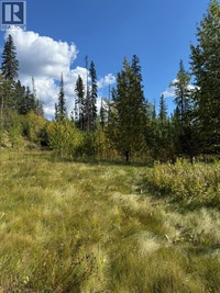 111 Kinuseo Avenue Tumbler Ridge, British Columbia Dawson Creek Peace River Area Preview