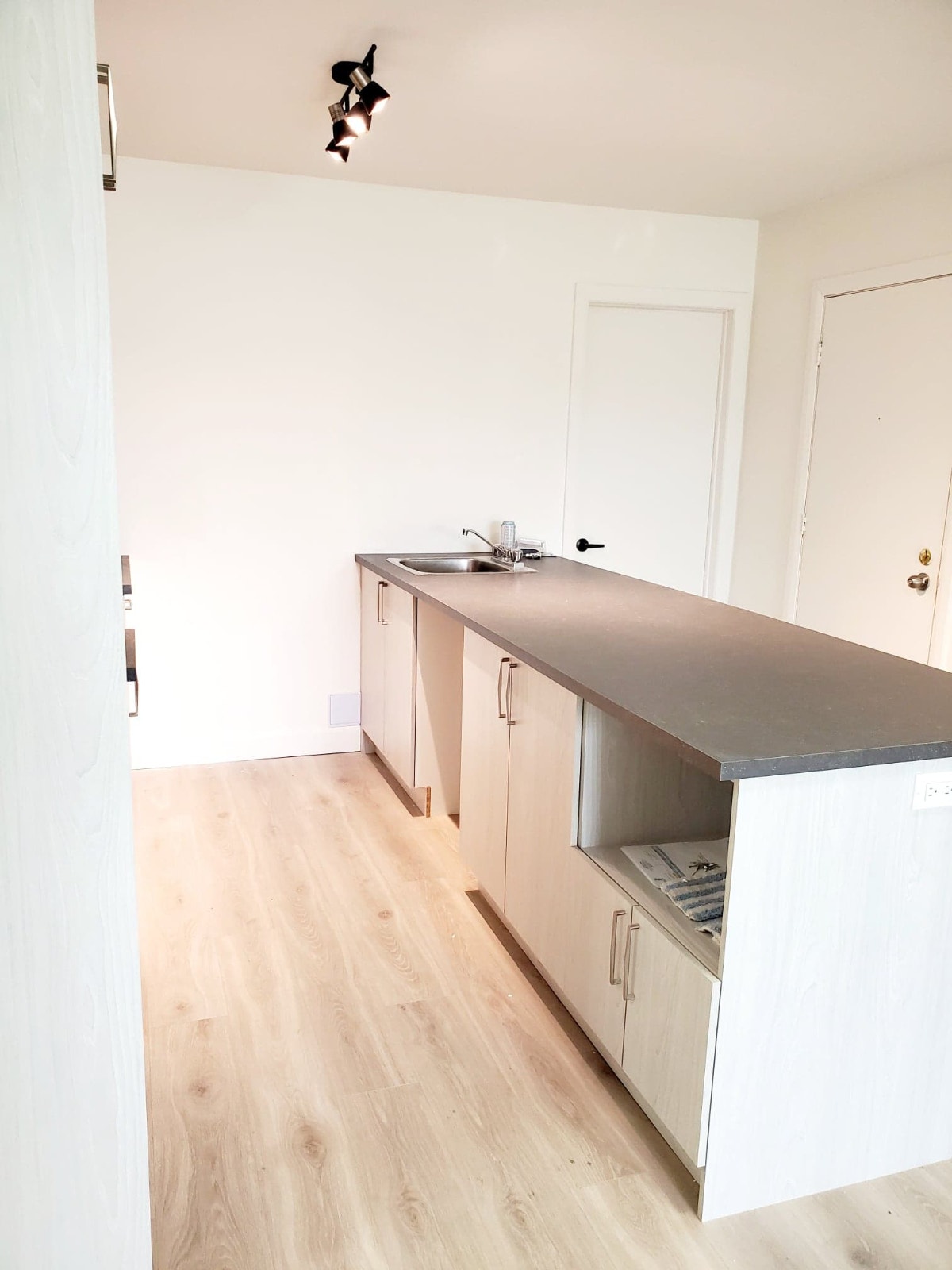 4507 Rue L'Heureux — photo 3