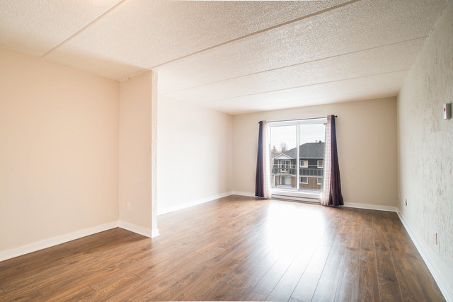 3½ a Longueuil,Spacieux et Lumineux à aire ouvert- DISPONIBLE dans Locations longue durée  à Longueuil/Rive Sud - Image 4