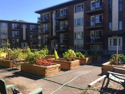 5 1/2 sur la rue de La Forest à 1350$/mois chauffé pour 1er juillet. - 1 stationnement extérieur inc...