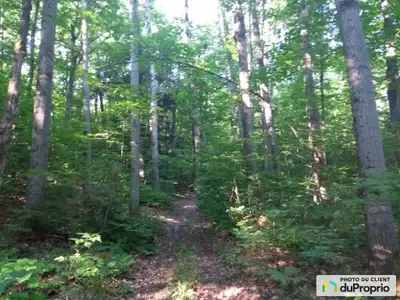 Magnifique terrain boisé de 2,1 acres avec un accès facile à l'autoroute 307 (où la vitesse a été ré...