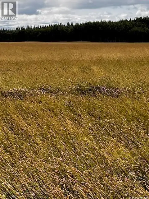 Larsen Ranch Big River Rm No. 555, Saskatchewan in Land for Sale in Meadow Lake - Image 12