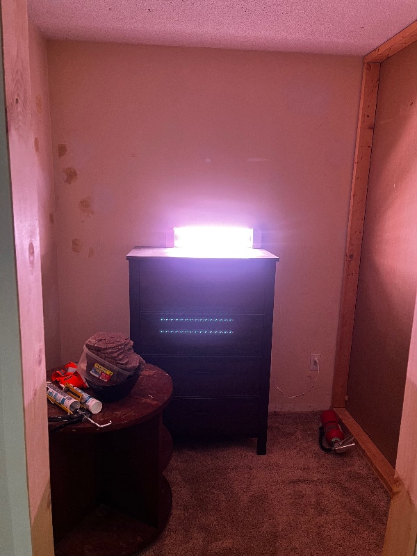 Nice basement room at Port Credit available immediately Room Rentals