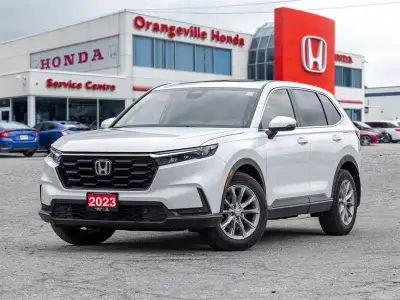 Experience the perfect blend of sophistication, versatility, and all-weather confidence with the 202...