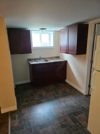 newly renovated 1 beroom apt for rent