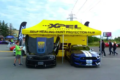 .3M XPEL Ultimate Paint Protection Film,PPF Stek, View more