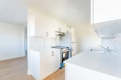 Amenities: Renovated Suites • Quiet Building • Dog Wash Station • Solar Panels Suite & Building: Spa...