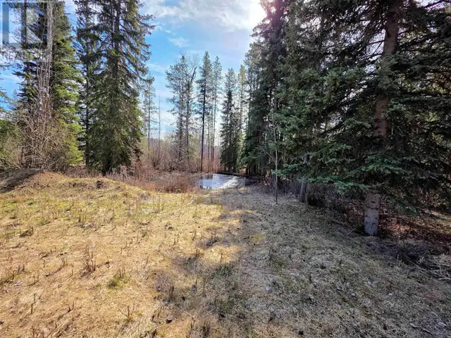 18715 GRANTHAM ROAD Houston, British Columbia in Houses for Sale in Smithers - Image 28