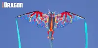 3d Flying Kites