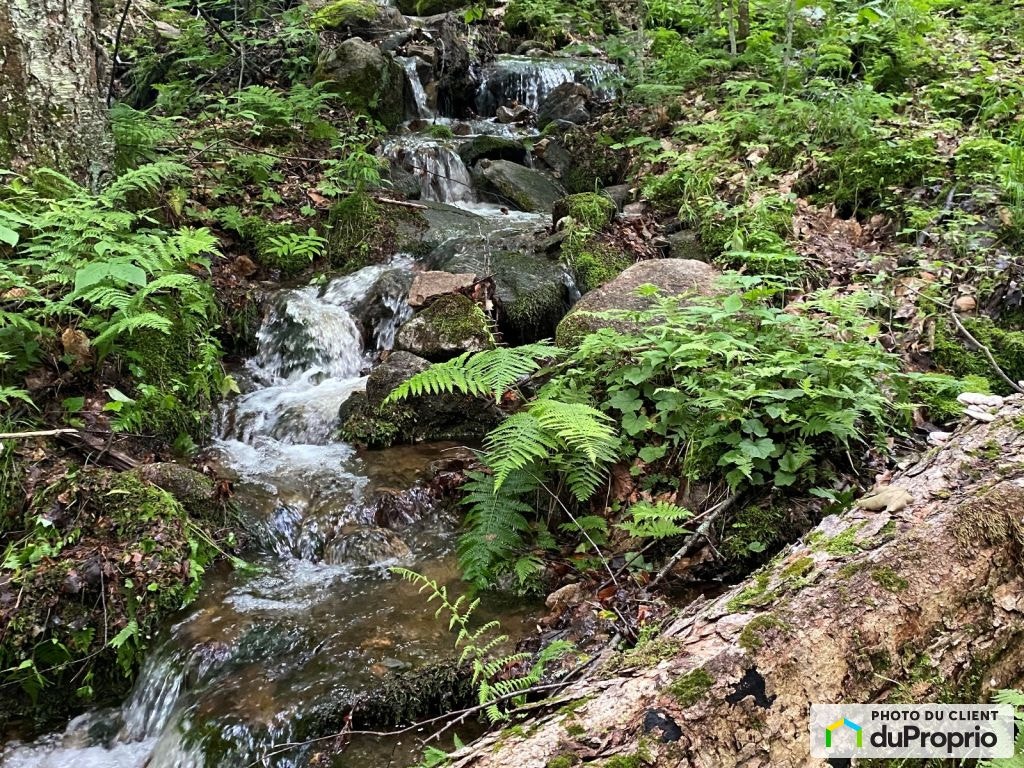 $185,000 - Residential Lot for sale in Lac-Tremblant-Nord — photo 3