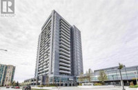 55 Oneida Cres