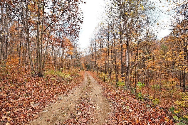 674 Ch. Pontbriand La Pêche, Quebec — photo 2