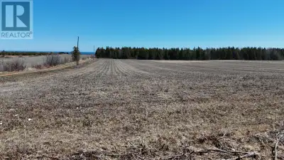 COUNTRY LIVING! LARGE ACERAGE! YOURS TO MAKE YOUR DREAM HAPPEN. 8 Acres of cleared land with road ac...