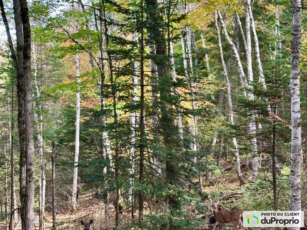 $189,900 - Price taxes included - Residential Lot for sale — photo 3