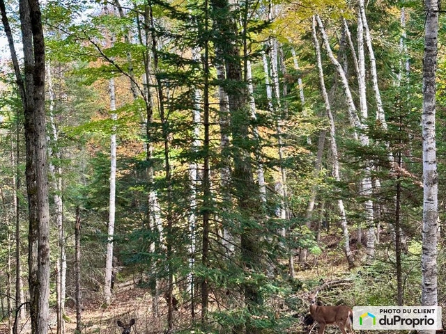 $189,900 - Price taxes included - Residential Lot for sale — photo 3