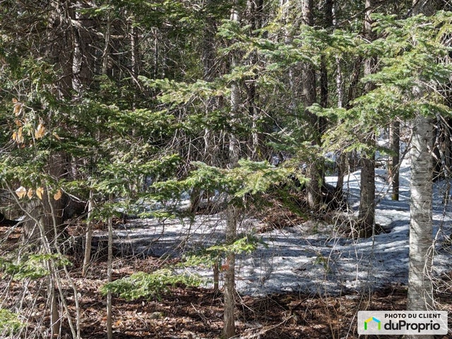 $175,000 - Residential Lot for sale in Chertsey — photo 2