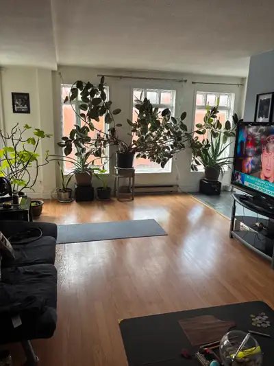 Fantastic place to live, ideal for Ottawa university student or a professional working in the market...