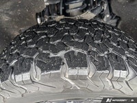 Unleash robust capability with this 2023 Chevrolet Colorado 4WD Trail Boss, presented in striking Ni... (image 9)