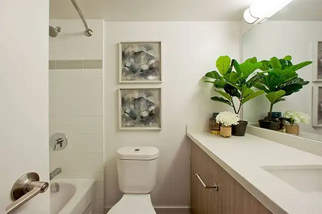 Renovated 3 Bdm.  Apt.  for Rent in Toronto's Danforth Village! in Long Term Rentals in City of Toronto - Image 10