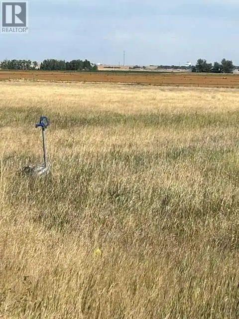 Near Coalhurst RR223 Coalhurst, Alberta in Land for Sale in Lethbridge - Image 7