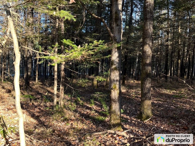 $185,500 - Price taxes not included - Residential Lot for sale — photo 3