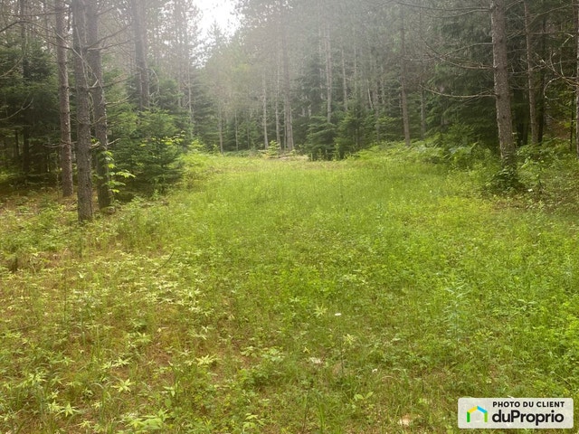 $279,000 - Residential Lot for sale in Mont-Tremblant — photo 1