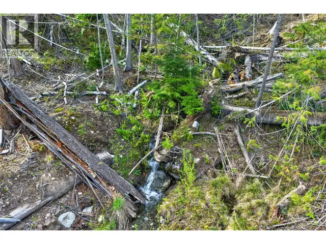 DL 7620 Rogers Road Balfour, British Columbia in Land for Sale in Nelson - Image 22
