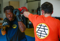 Kung-fu à Rosemont! Boxe chinoise: Baji quan