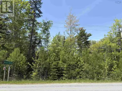 Great level treed building lot! (id:24493) MLS® #202614500 The trademarks MLS®, Multiple Listing Ser...