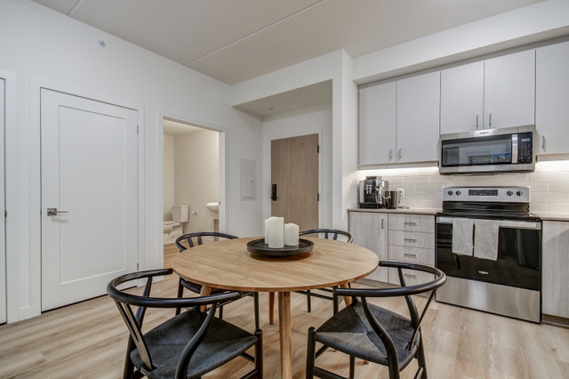 HŌM - 2 Bedroom  Apartment for Rent in Long Term Rentals in Hamilton