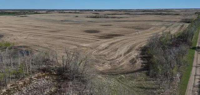 Productive Farmland | RM of Orkney # 244 | Near Willowbrook, SK in Land for Sale in Regina - Image 6