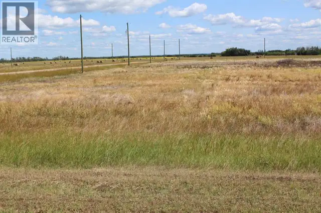 903 Main Street Manning, Alberta in Land for Sale in Grande Prairie - Image 2
