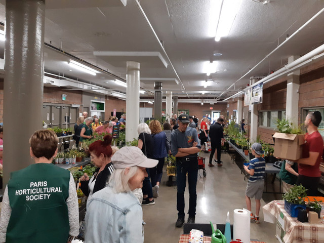Paris Horticultural Society Plant Sale in Events in Brantford - Image 3