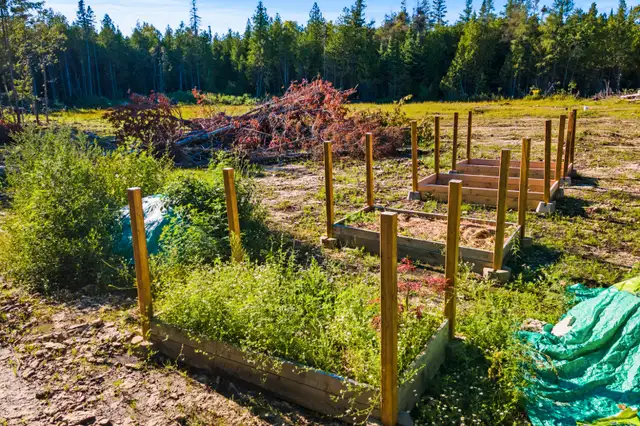 Lot Available Minutes Away from Lake Huron - Nellie From- RE/MAX63235316917505122