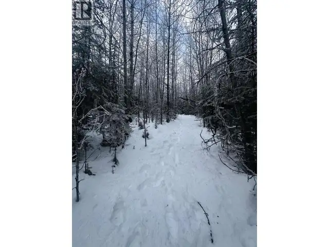 LOT A BALD HILL ROAD Burns Lake, British Columbia in Land for Sale in Burns Lake - Image 30