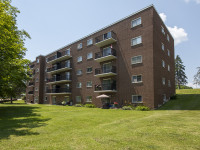 Bachelor Apartment for Rent - 5-30 Glenn Wood Place
