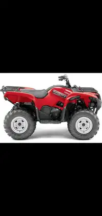 2010 Grizzly 700 Parts