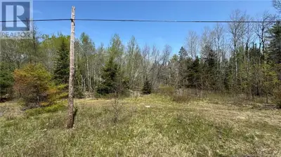 Beautiful 2.96 acre lot perfect for anyone looking to build. Call your favourite realtor now for mor...